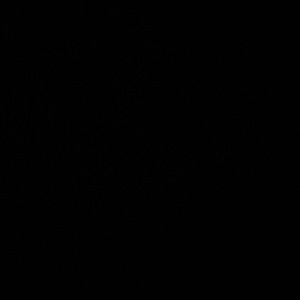 Meet your Posher, Ahmad